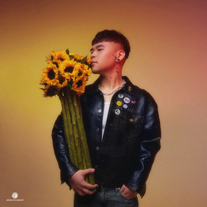 猛男日少女的图片
